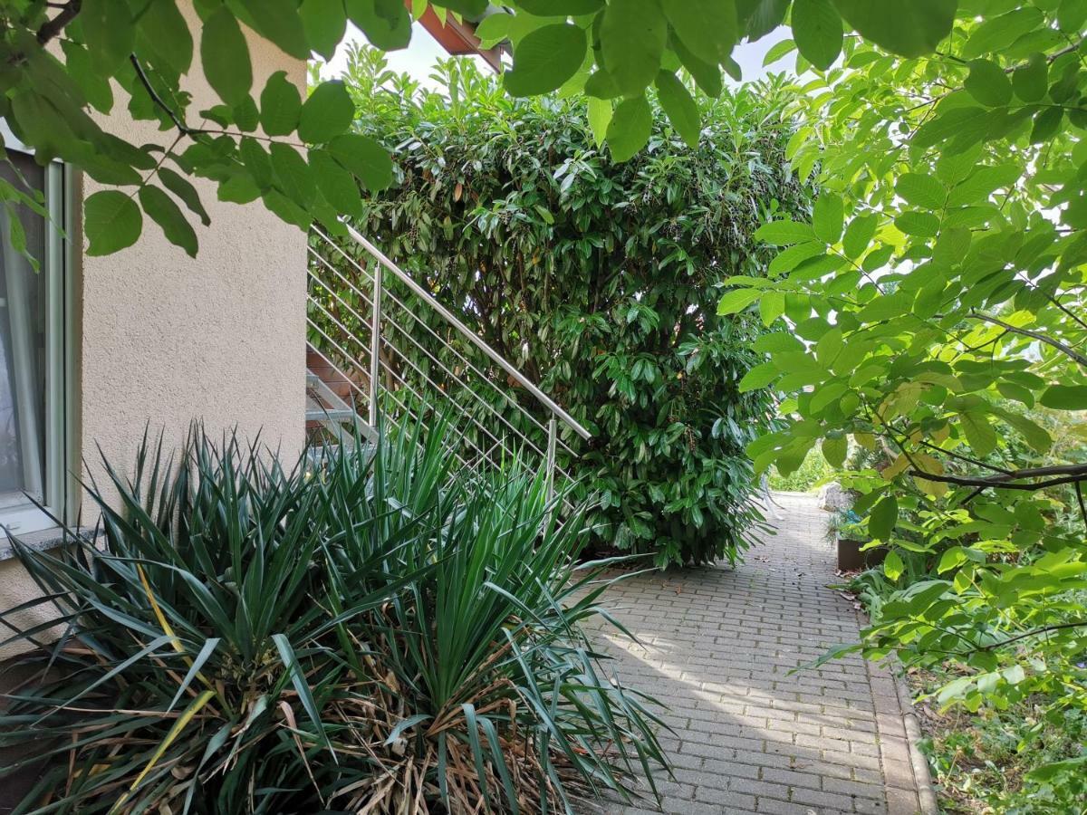 Apartment Am Horstberg Wernigerode Ngoại thất bức ảnh